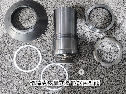 贺德克Ventil 400-10-50*G2 P460NH/NBR (kompl)